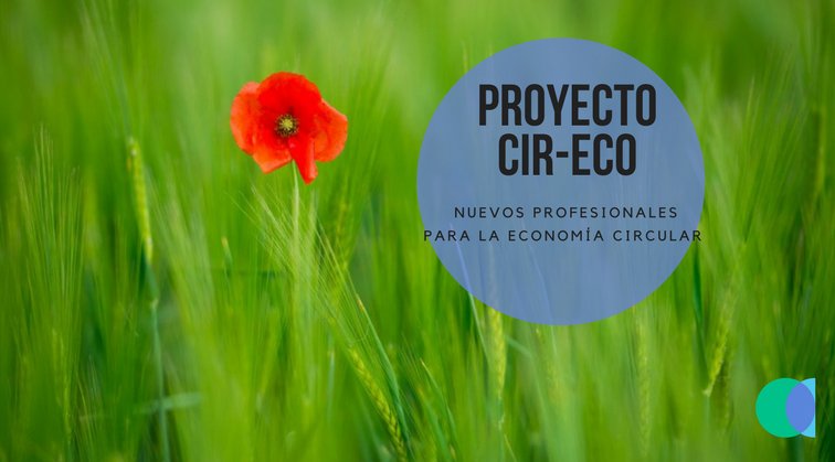 Proyecto-CIR-ECO-1